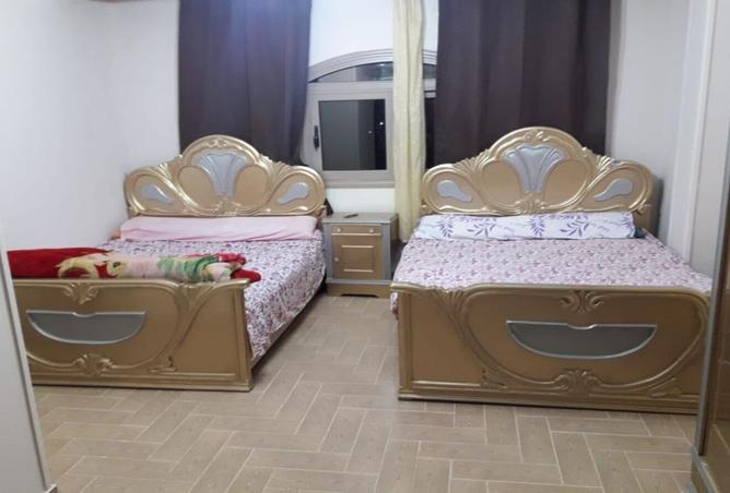 7867275 - Property Image 3