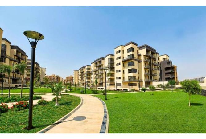 7862164 - صورة العقار 3