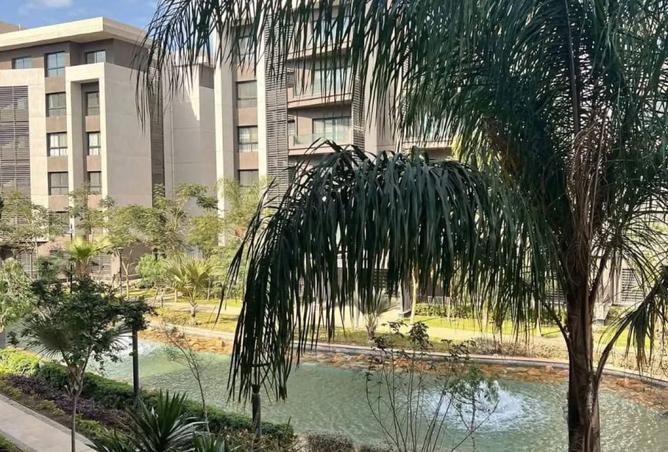 7862310 - صورة العقار 3