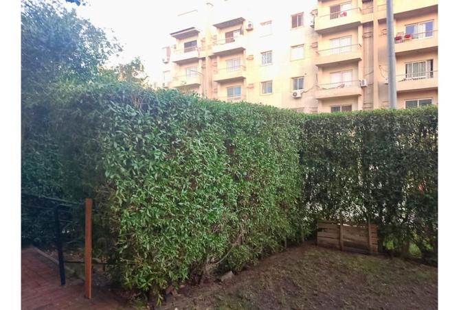 7868753 - صورة العقار 3