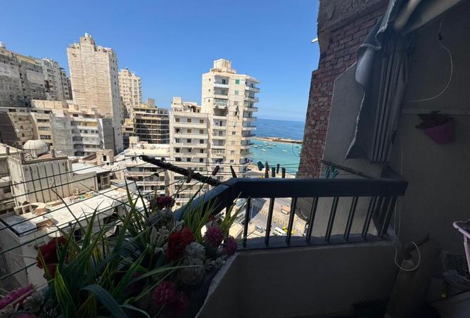 7866066 - Property Image 3