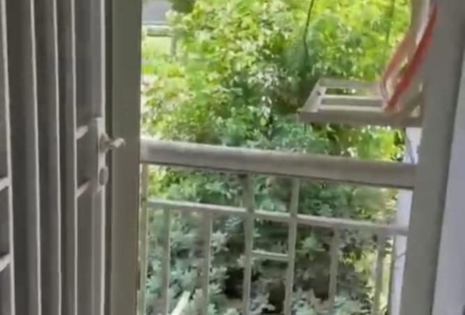 7873616 - الصورة الرئيسية للعقار