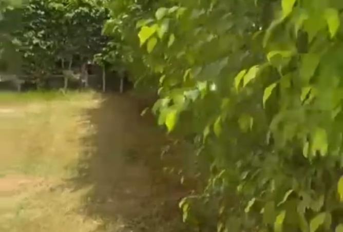 7873616 - صورة العقار 3