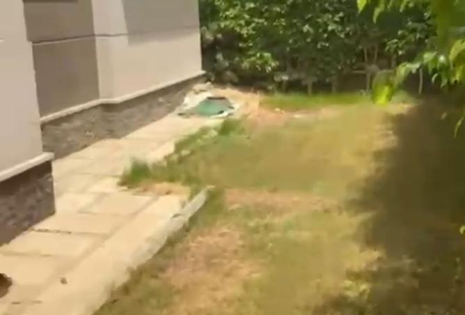 7873616 - صورة العقار 2