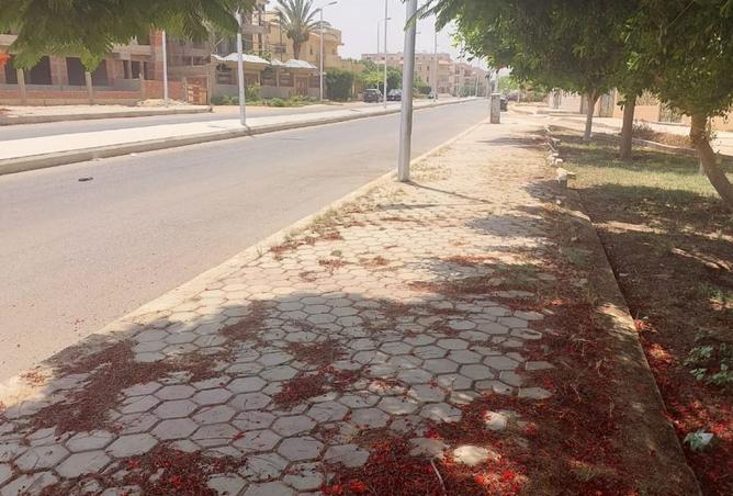 7874041 - صورة العقار 3