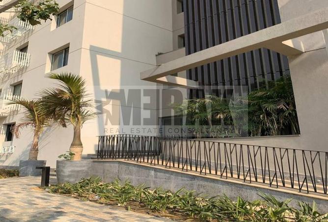 8091847 - صورة العقار 3