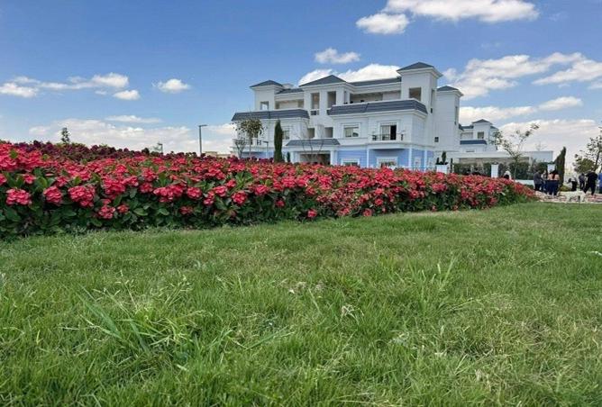 7875684 - Property Image 3