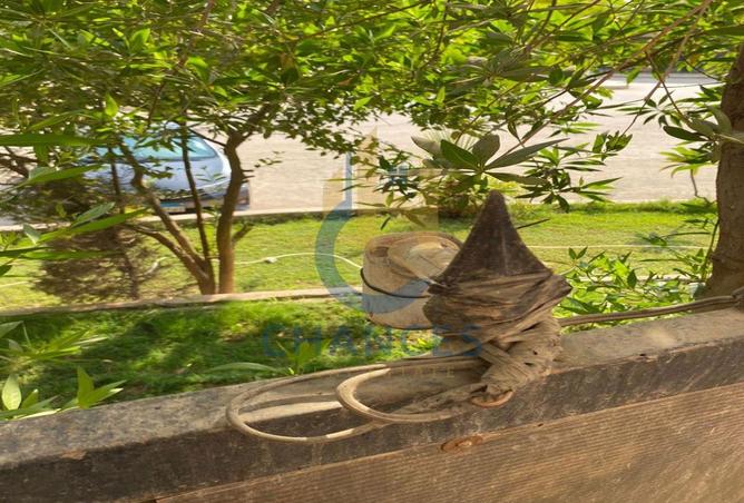 7875720 - صورة العقار 3