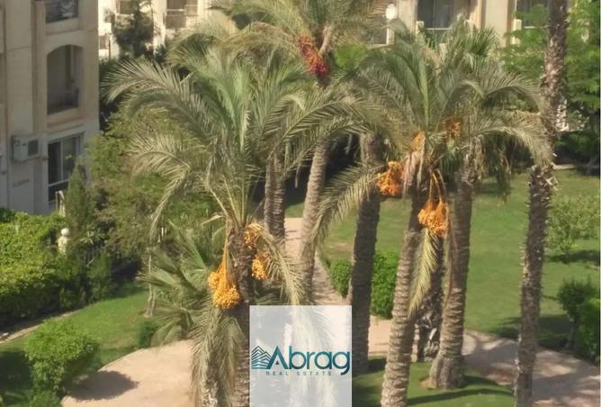 7877033 - صورة العقار 3