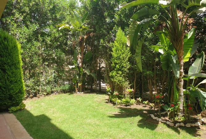 7877742 - صورة العقار 3