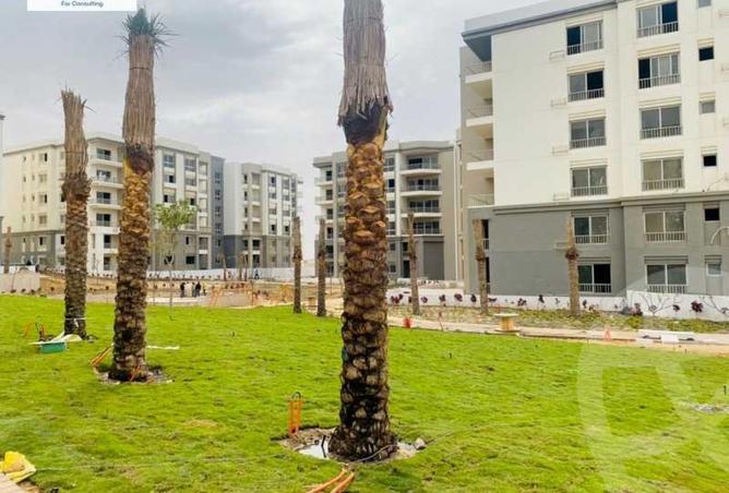 7878408 - الصورة الرئيسية للعقار