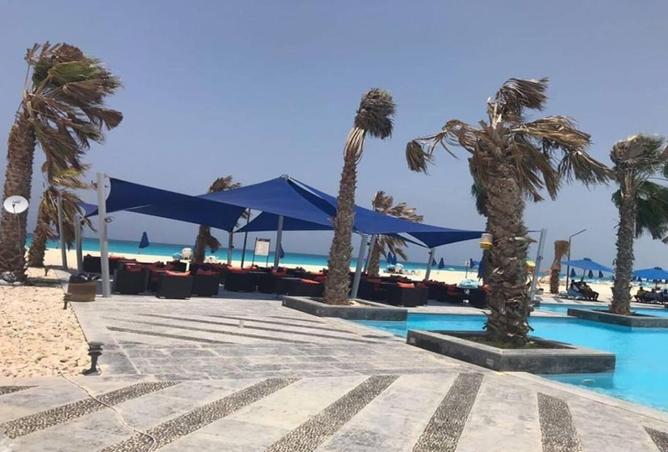 7880107 - صورة العقار 3