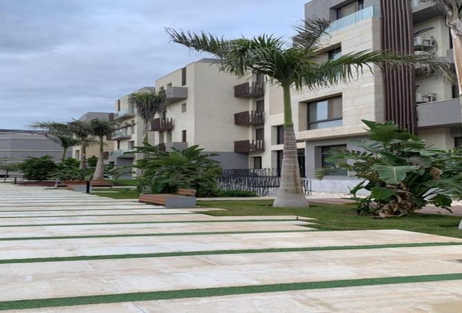 8146889 - الصورة الرئيسية للعقار