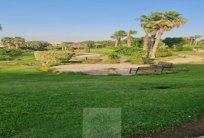 7917493 - صورة العقار 2