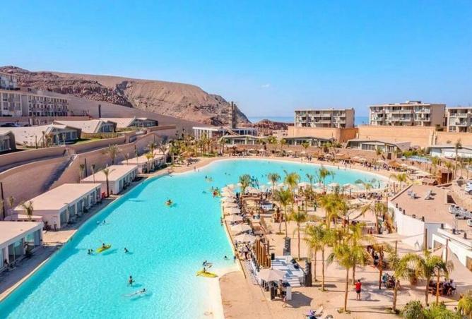 7888035 - صورة العقار 3