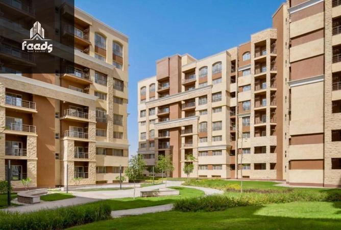 7887246 - صورة العقار 2