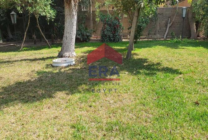 7887571 - صورة العقار 3