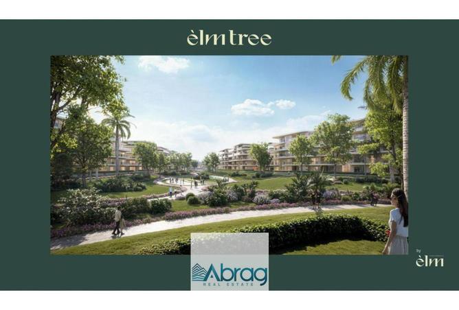 7887459 - Property Image 3