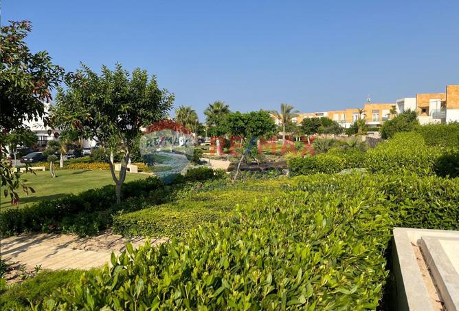 7893883 - الصورة الرئيسية للعقار