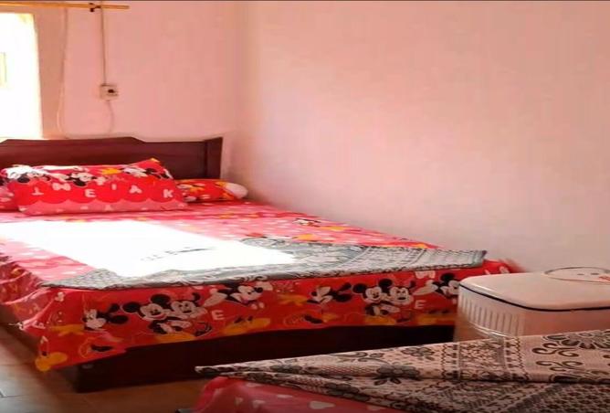 8229303 - Property Image 2