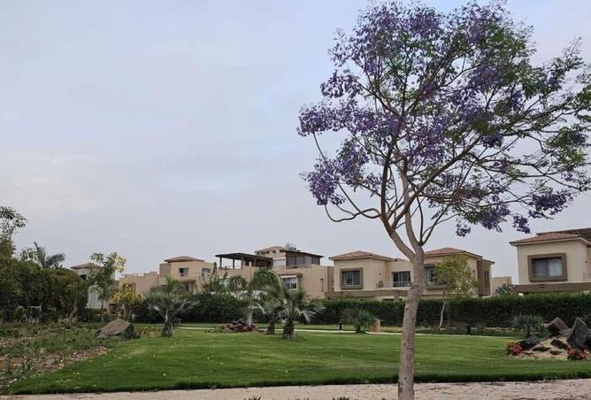 7890547 - صورة العقار 3