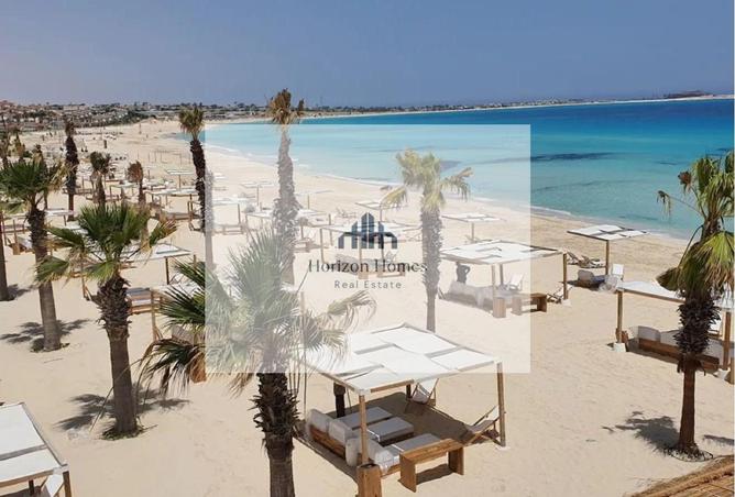 78407316 - صورة العقار 3