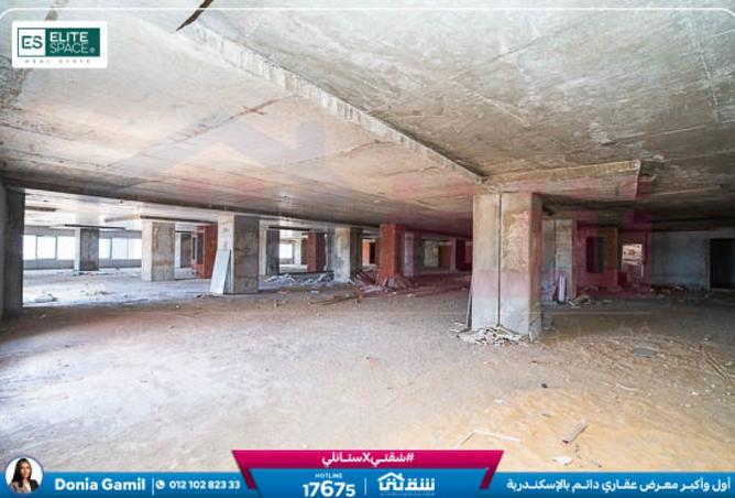 7909193 - صورة العقار 2