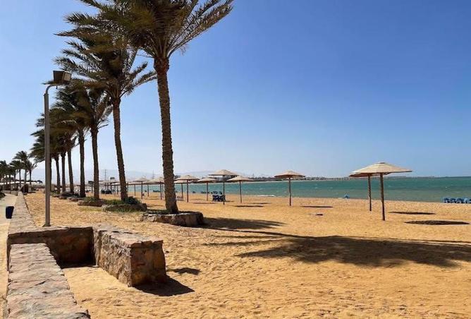 8379917 - Property Image 3