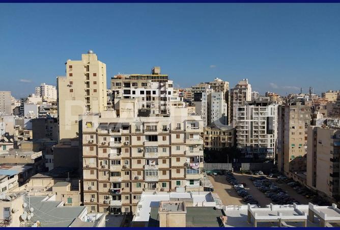 7895026 - صورة العقار 3