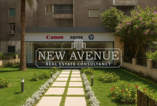 8066518 - Property Image 3