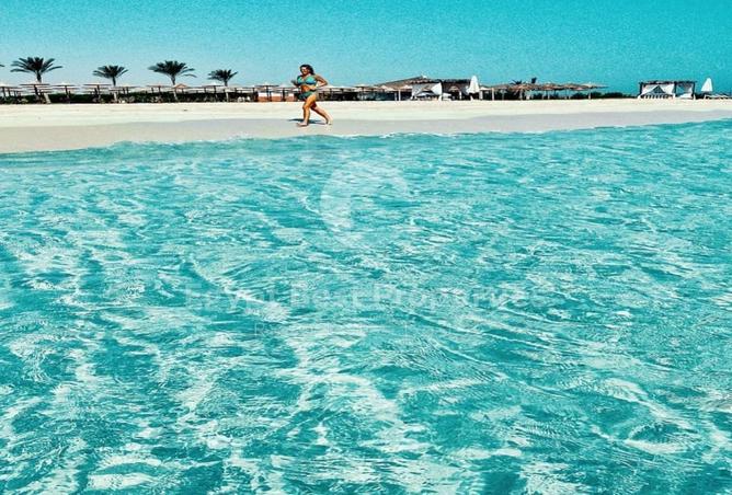 8590736 - صورة العقار 2