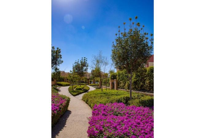 7906565 - الصورة الرئيسية للعقار