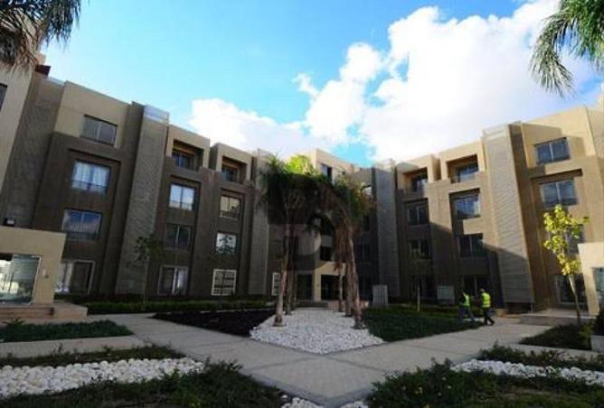 7920526 - صورة العقار 3