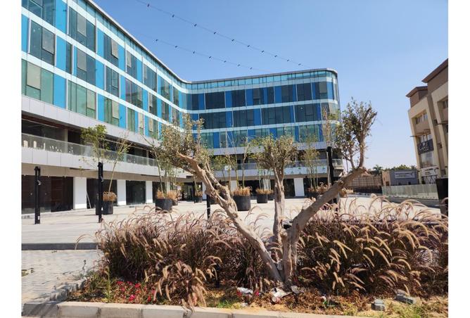 7898412 - صورة العقار 3