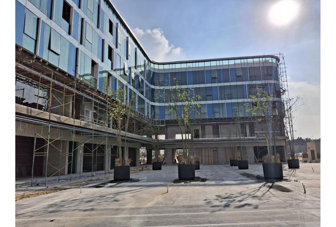 7898392 - Property Image 2