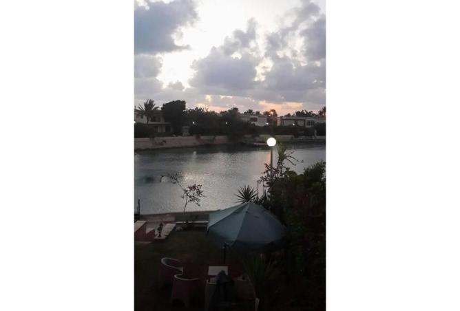 7897798 - الصورة الرئيسية للعقار