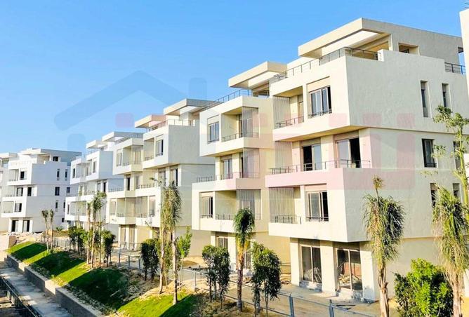 7909197 - صورة العقار 2