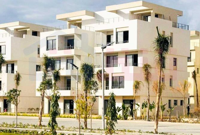 7909197 - الصورة الرئيسية للعقار