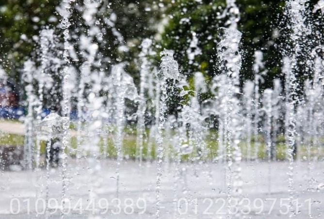 7899364 - Property Image 3