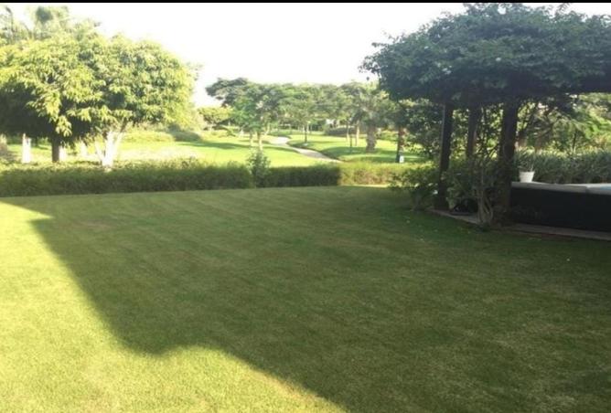 8198767 - Property Image 3