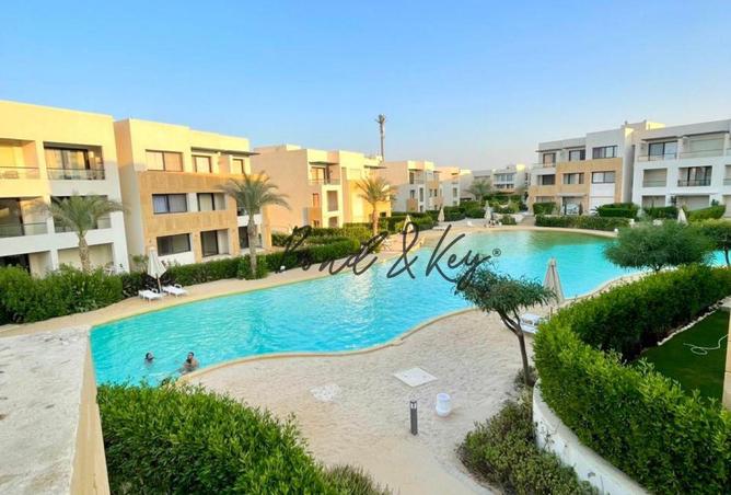 7900047 - صورة العقار 2