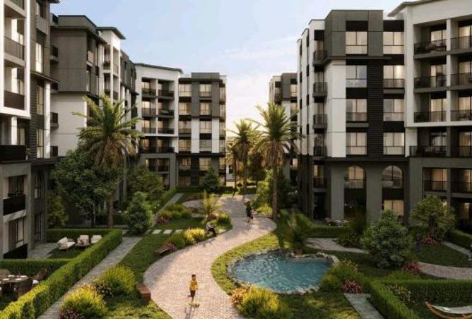 7900131 - Property Image 3