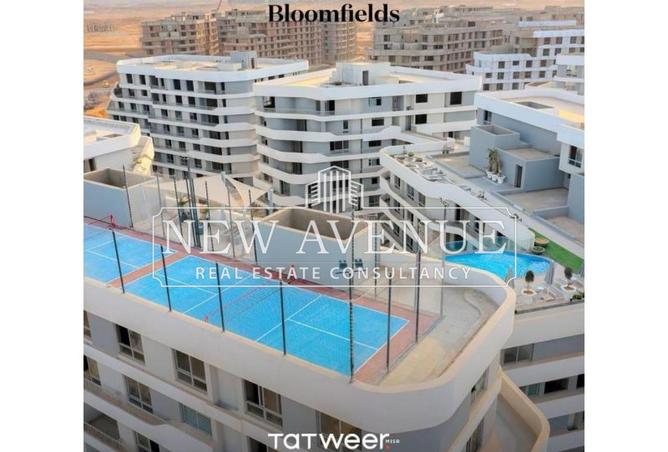 8087417 - Property Image 3