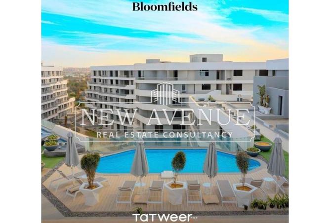 8087417 - Property Image 2