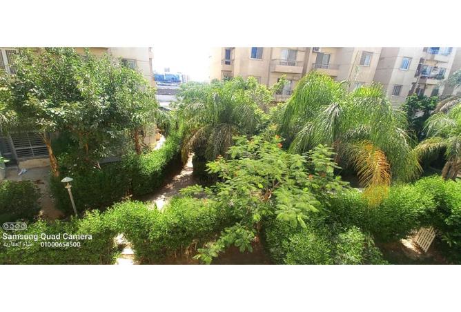 7911640 - صورة العقار 2