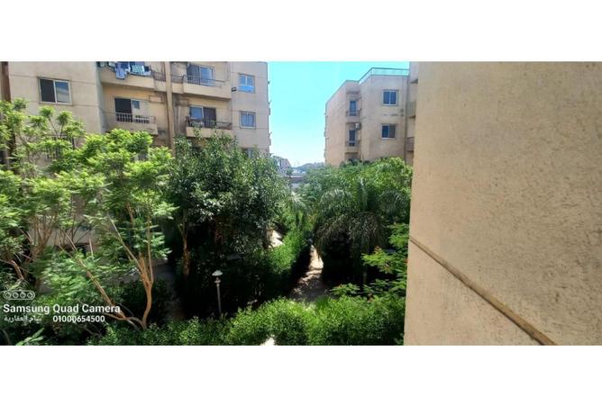 7911640 - صورة العقار 3