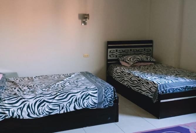 7900837 - Property Image 3