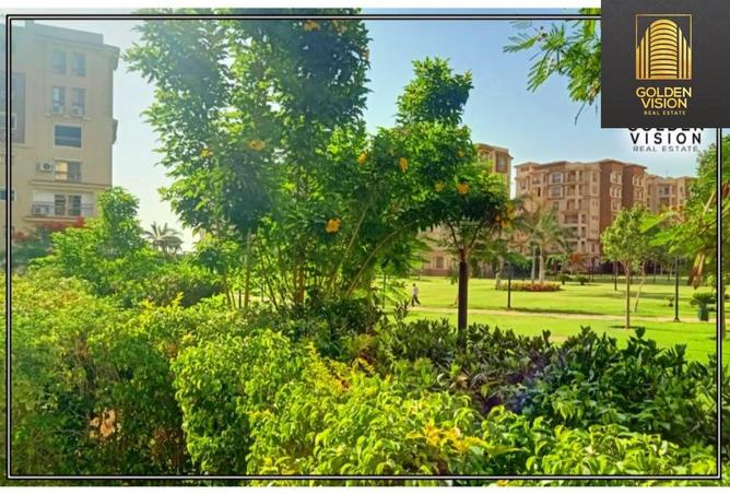 8172588 - الصورة الرئيسية للعقار