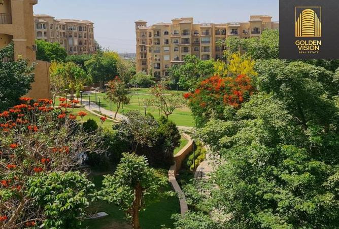 8172588 - صورة العقار 2