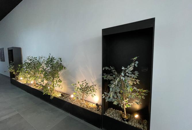 8240353 - صورة العقار 2